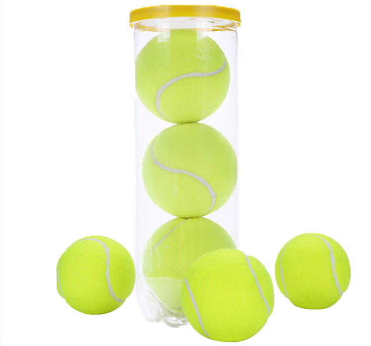 High quality training cricket paddle tennis ball 12pcs