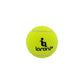 High quality training cricket paddle tennis ball 12pcs